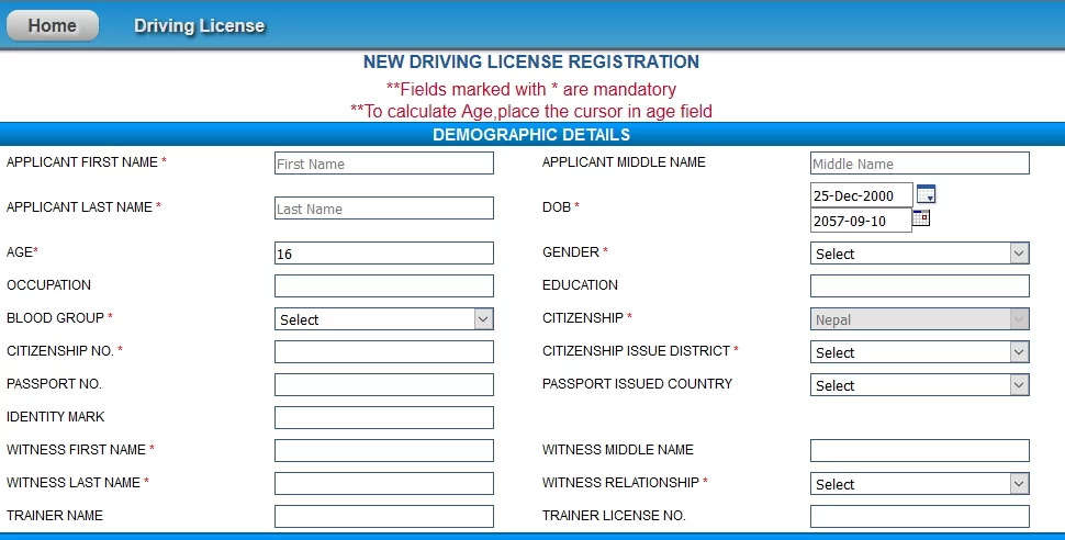 Online Driving License Application: Simple and Fast Process