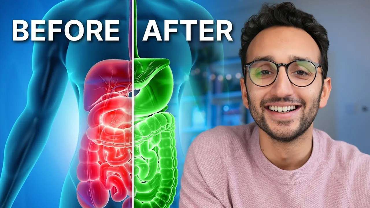 The Science of Gut Health (& Why It Matters)